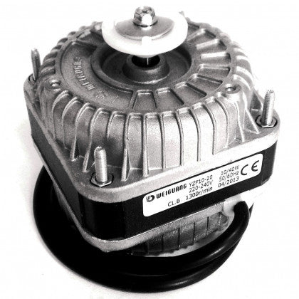 ELEKTROMOTOR 10W WEIGUANG